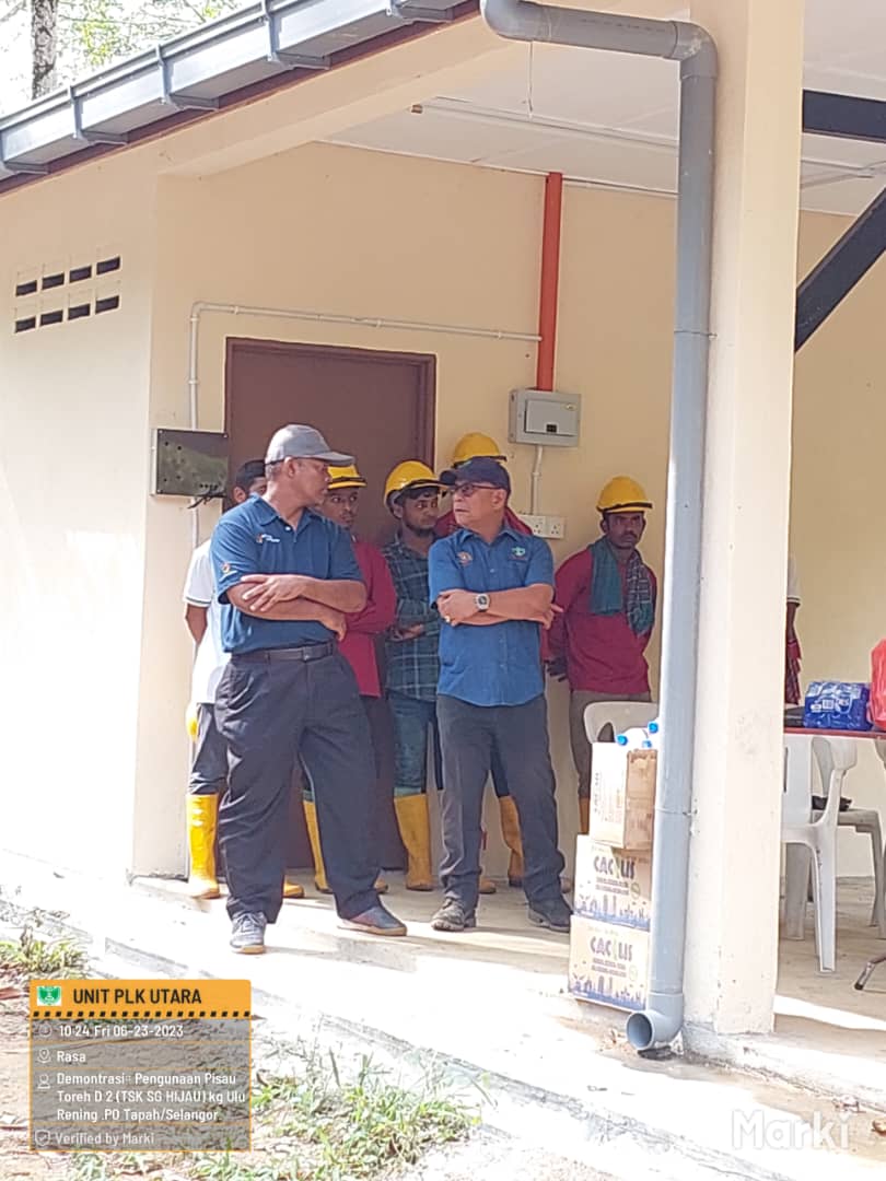 kelapa sawit122